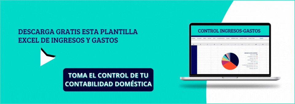 plantilla de ingresos y gastos