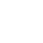 Icono bonus secreto